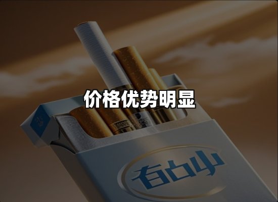 专业优势